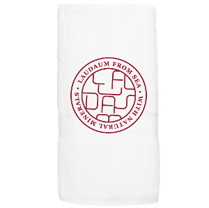 Premium Hand Towel